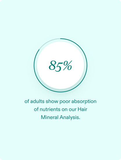 Nutrafol HairBiotic (90 Day Supply)